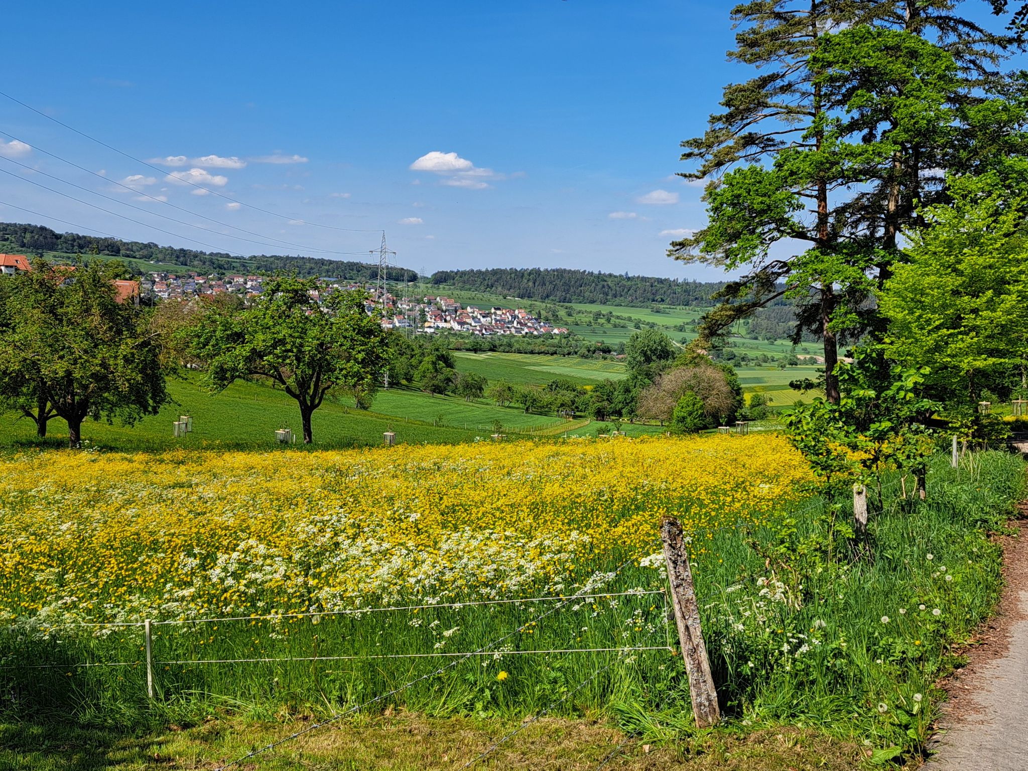 Blick auf Simmozheim