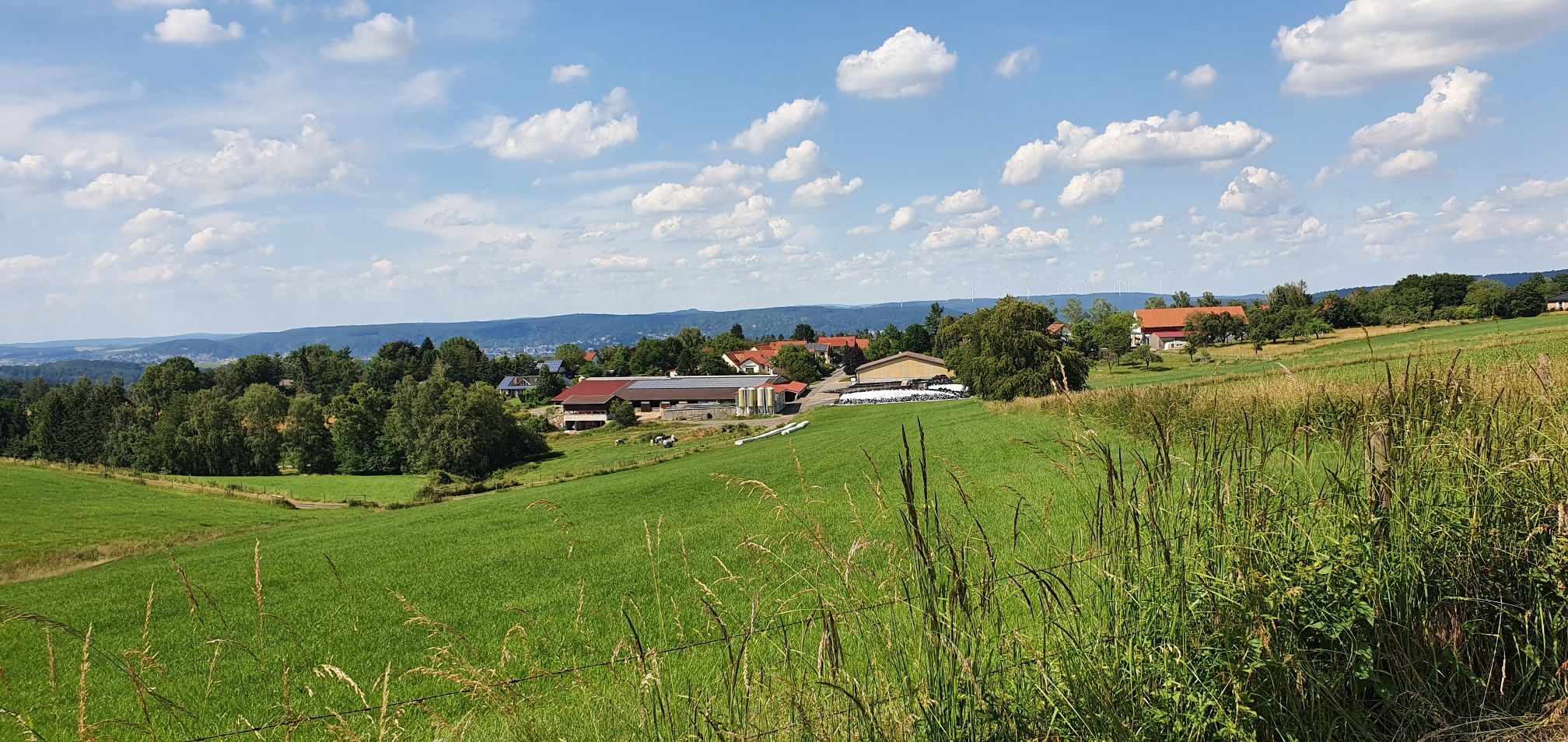 waldrode