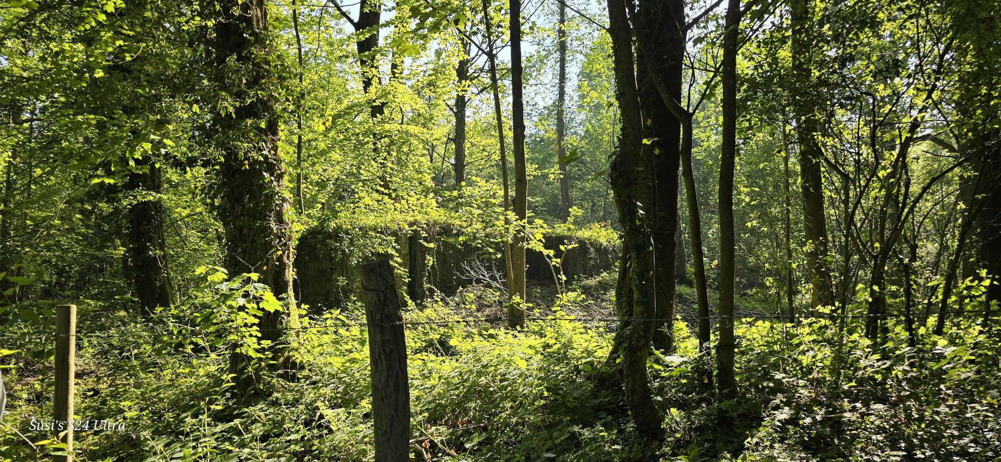 UPEN D'AVAL