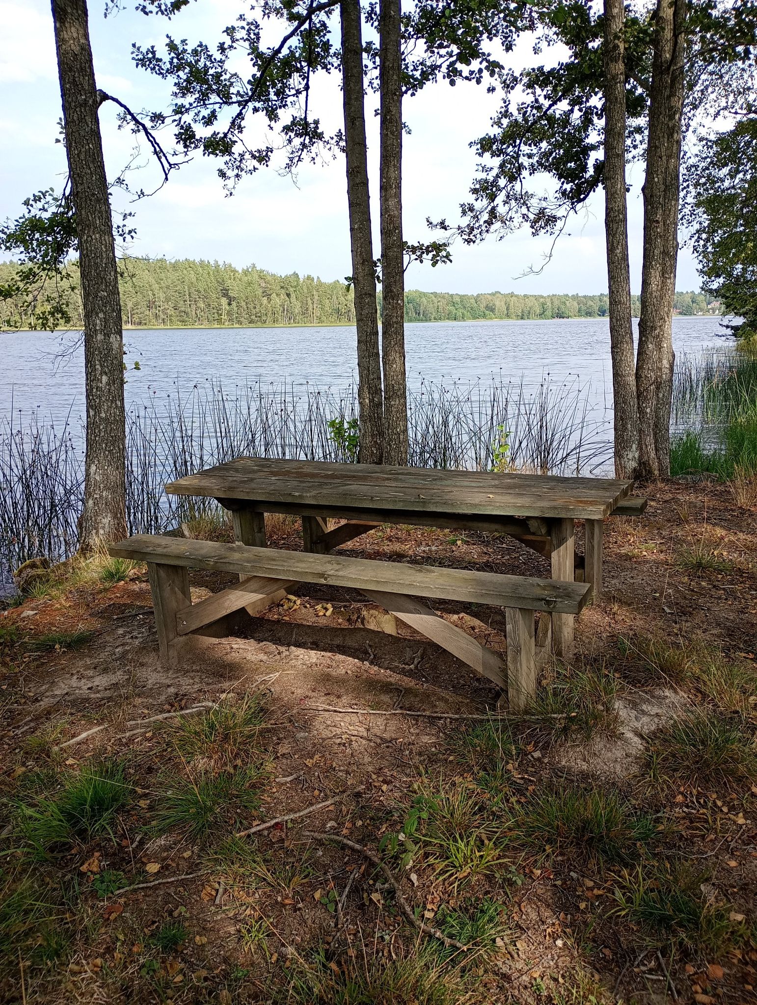Picknickplatz