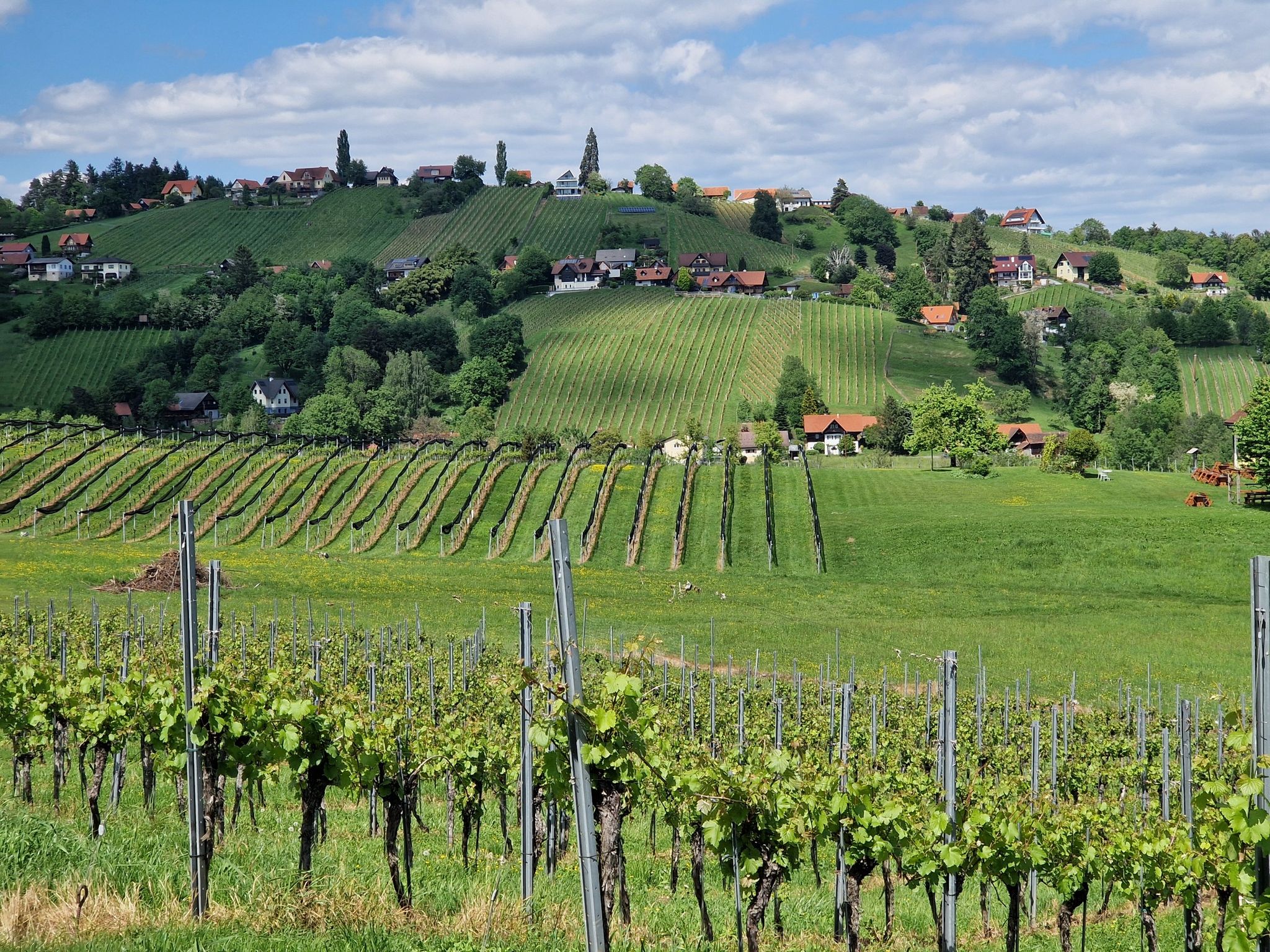 Schilcherland