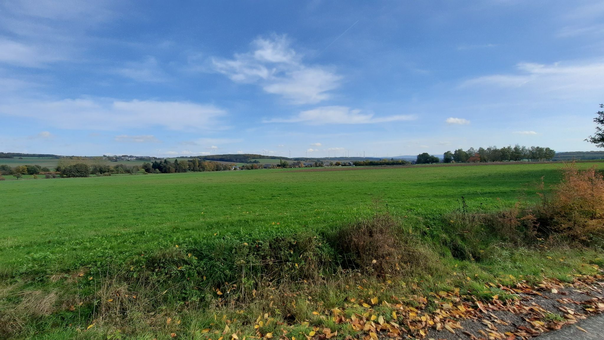 Hunsrückblick nahe Hasselbach