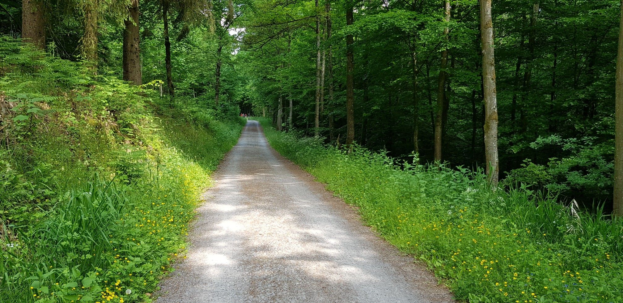 Graf-Rhena-Weg