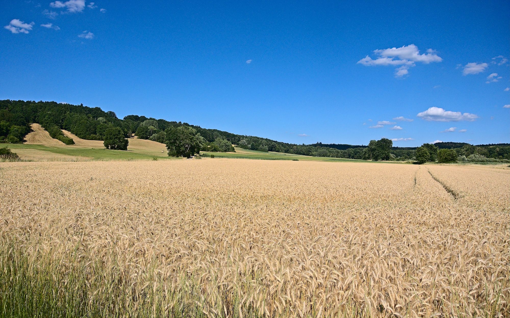 Ausblick bei der Ausfahrt aus Forchheim