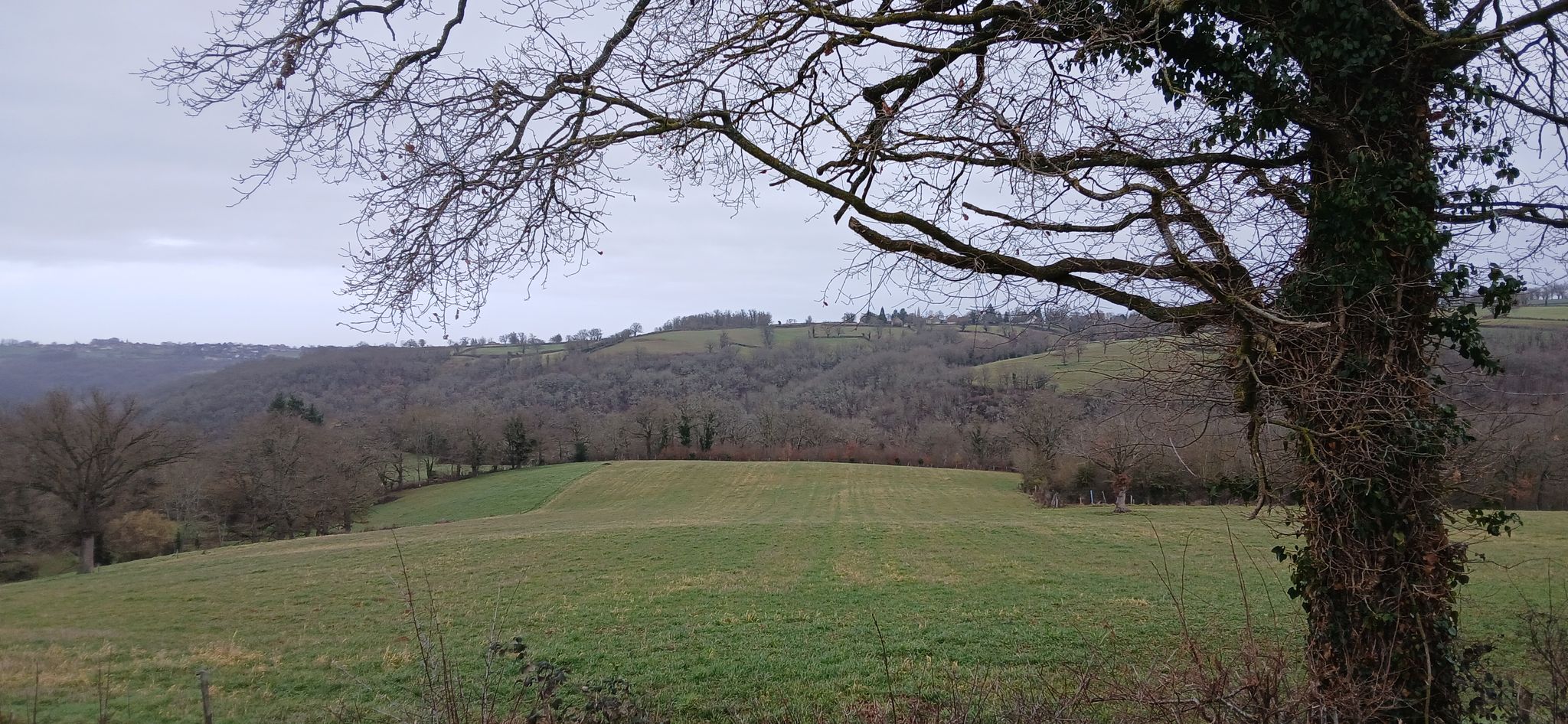 La nature toujours aussi belle.