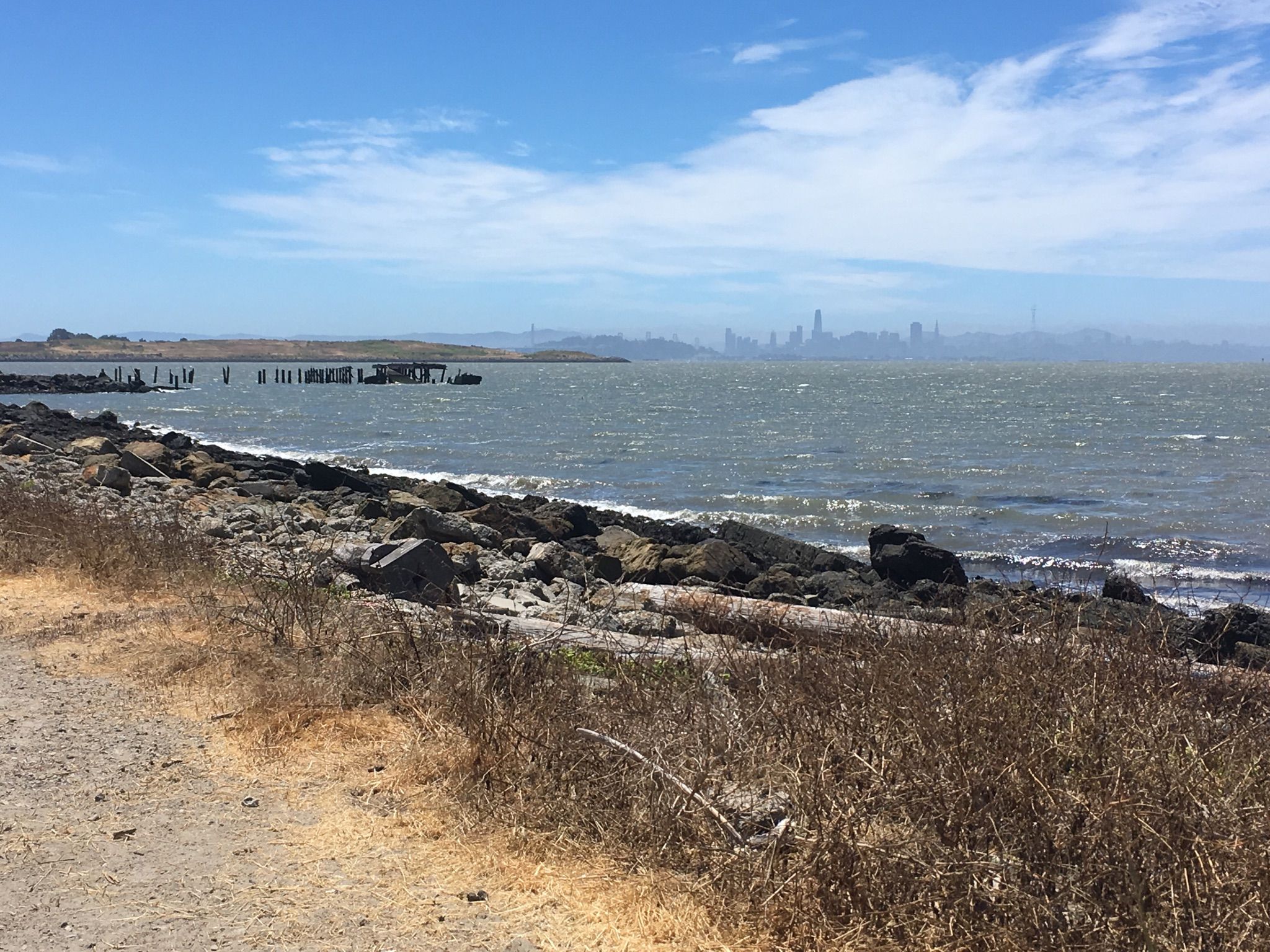 Rocky shoreline with waves, distant city skyline, and old pier pilings. - Albany Bulb – Albany Beach loop from Albany