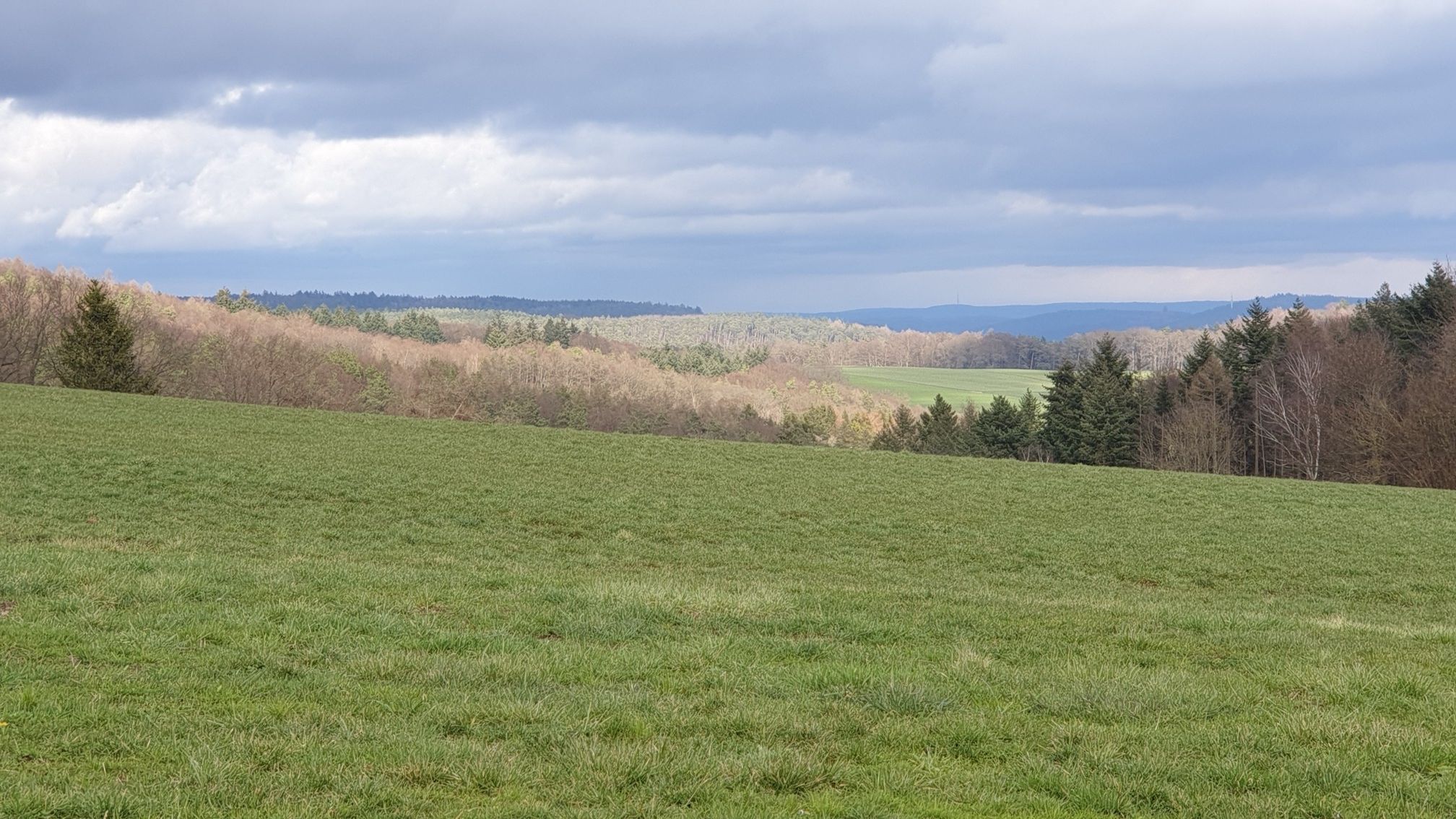 Hummetroth Blick auf die Hoehe hinter Annelsbach