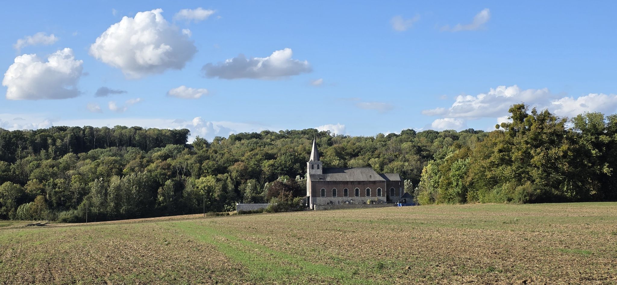 Église Saint-Martin à Haltinne