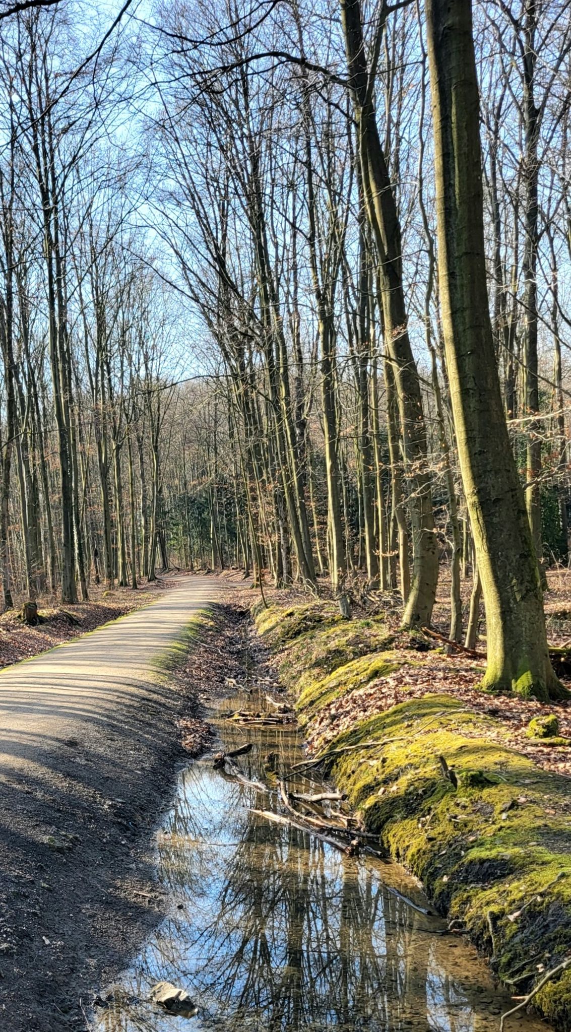 Dafür sind die Wege idyllisch
