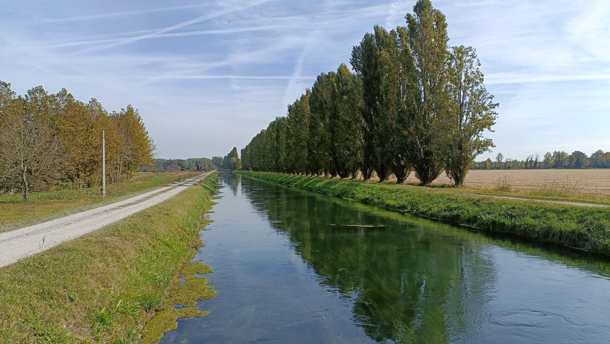 Canale Vacchelli