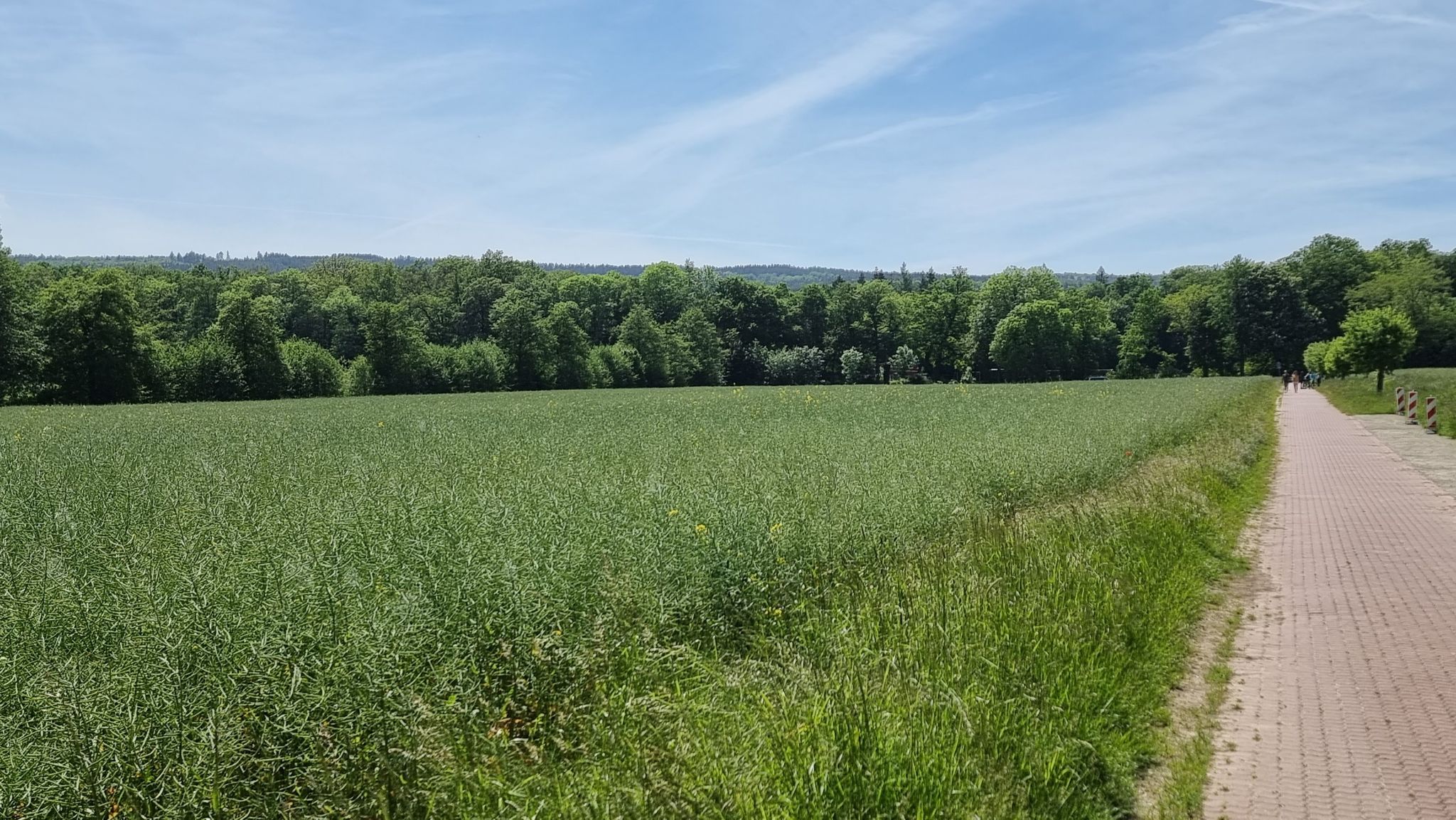 Bröhnweg, Wennigsen