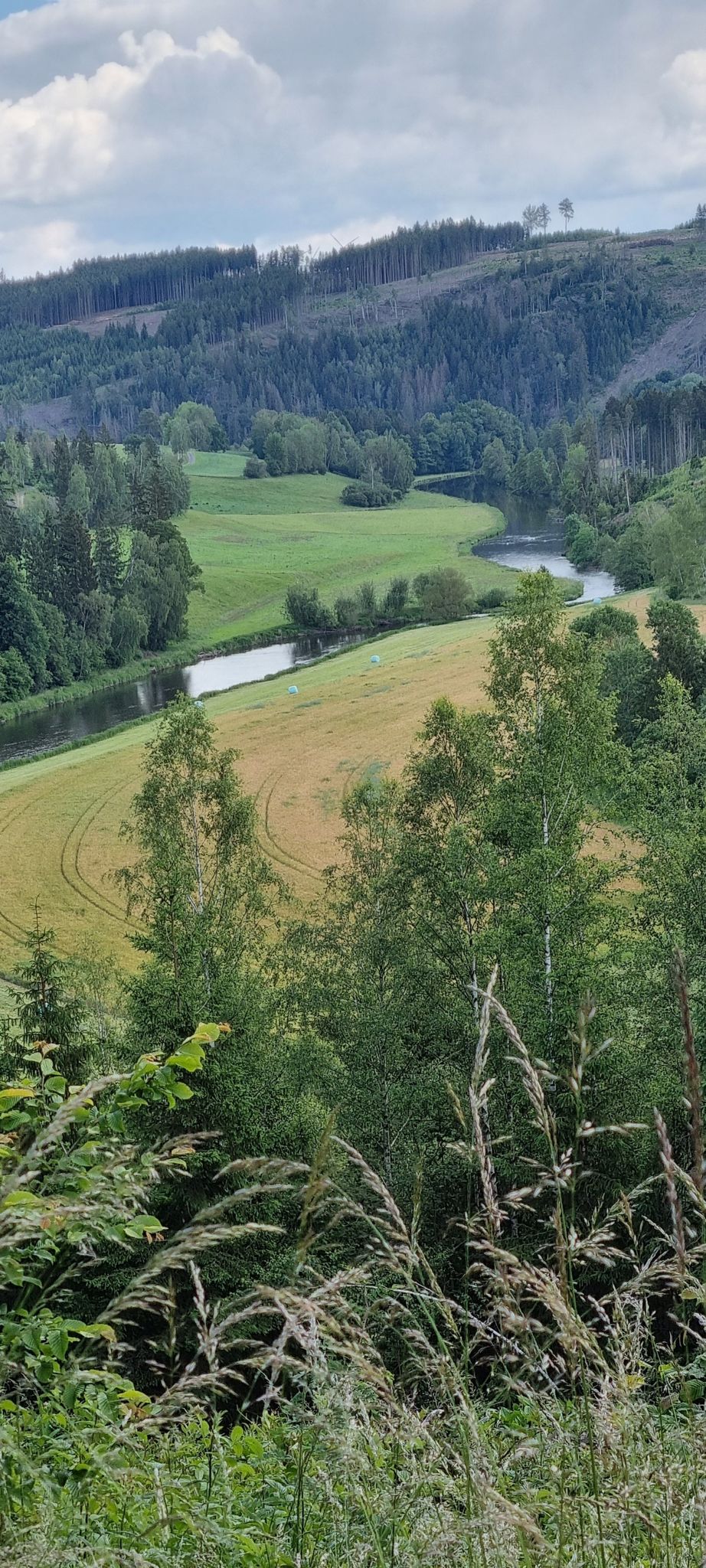 Blick zur Saale ins Tal