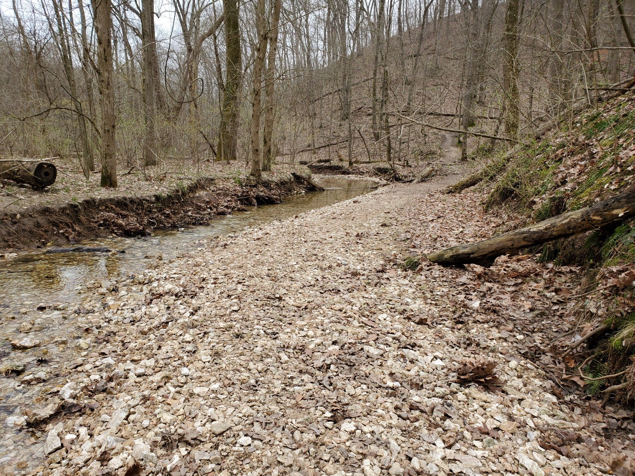 Rocky stream bed winding through a bare forest under overcast skies. - Lewis and Clark Trail Loop