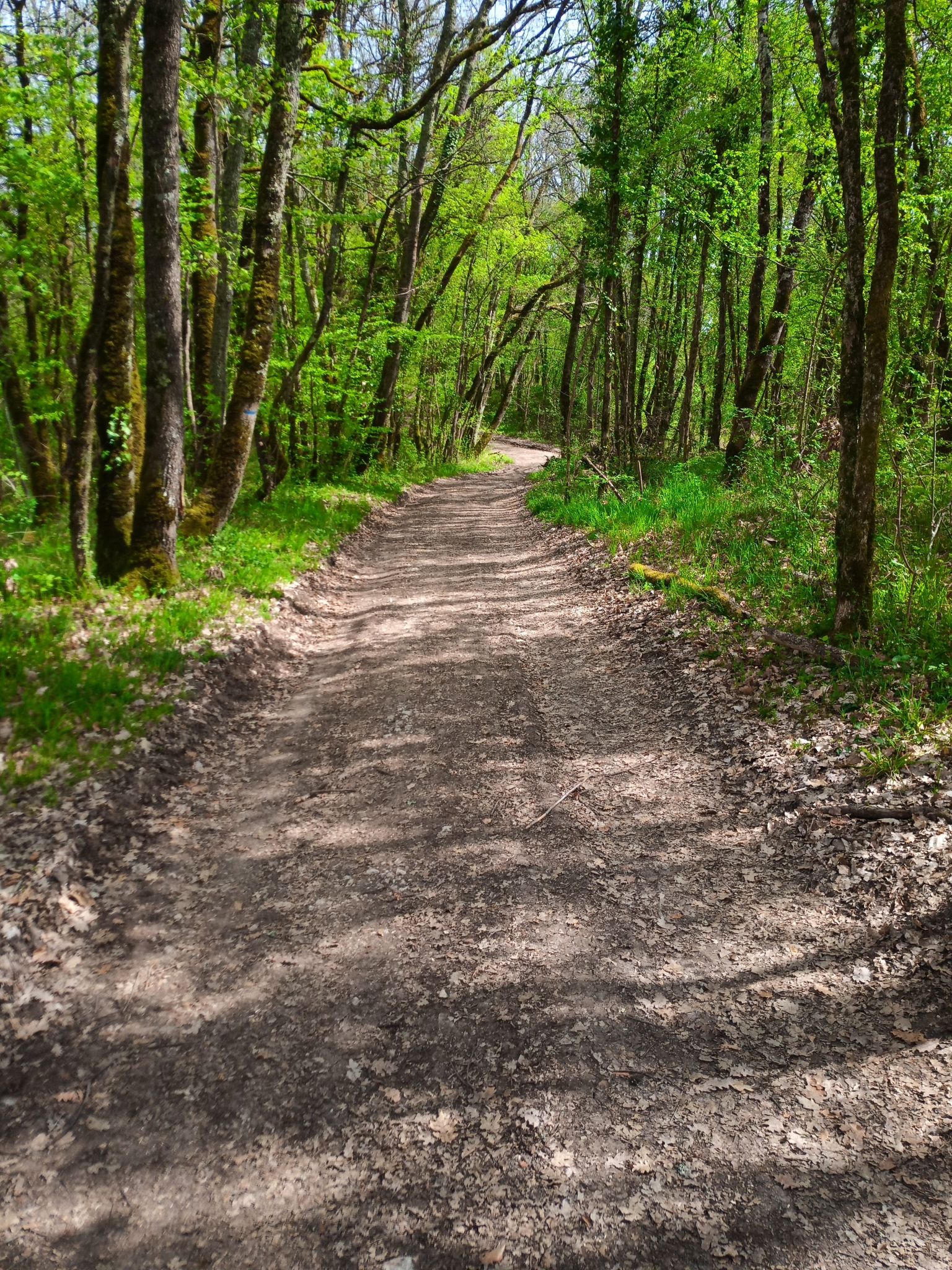 Sentier VTT et pédestre