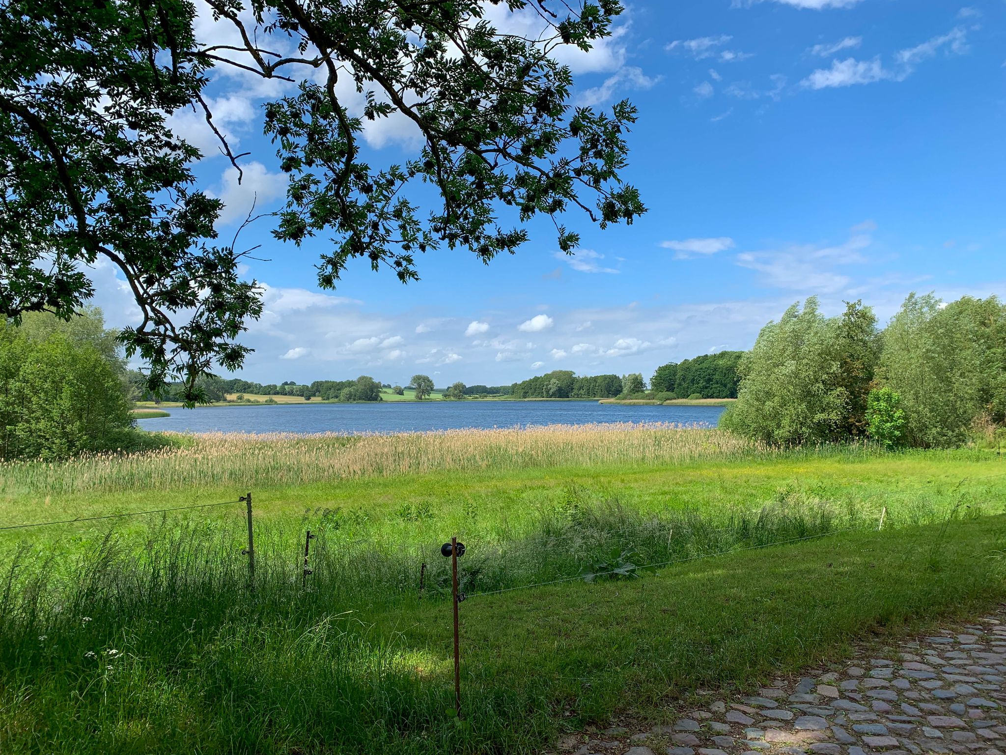 Der Trechower See.