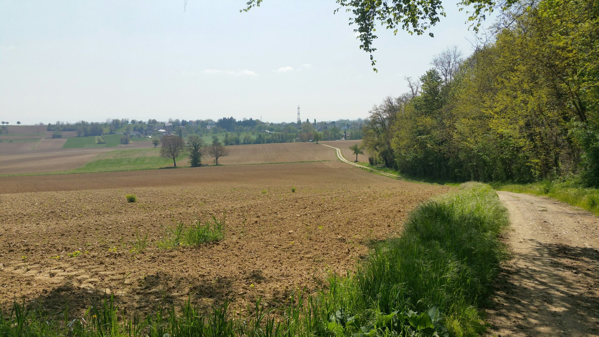 netter Verbindungsweg von Zimmersheim nach Bruebach