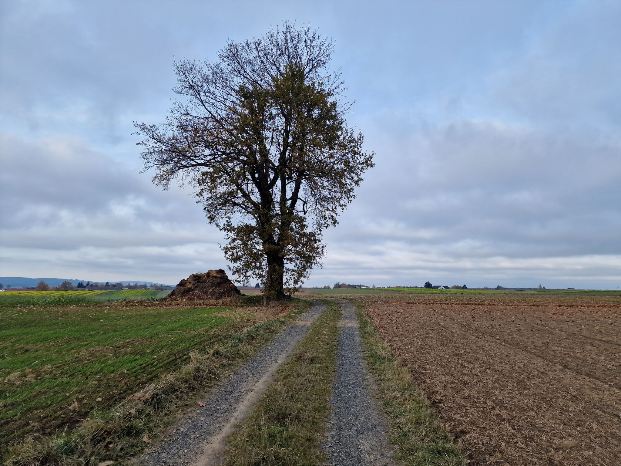 Nach Göpfritz