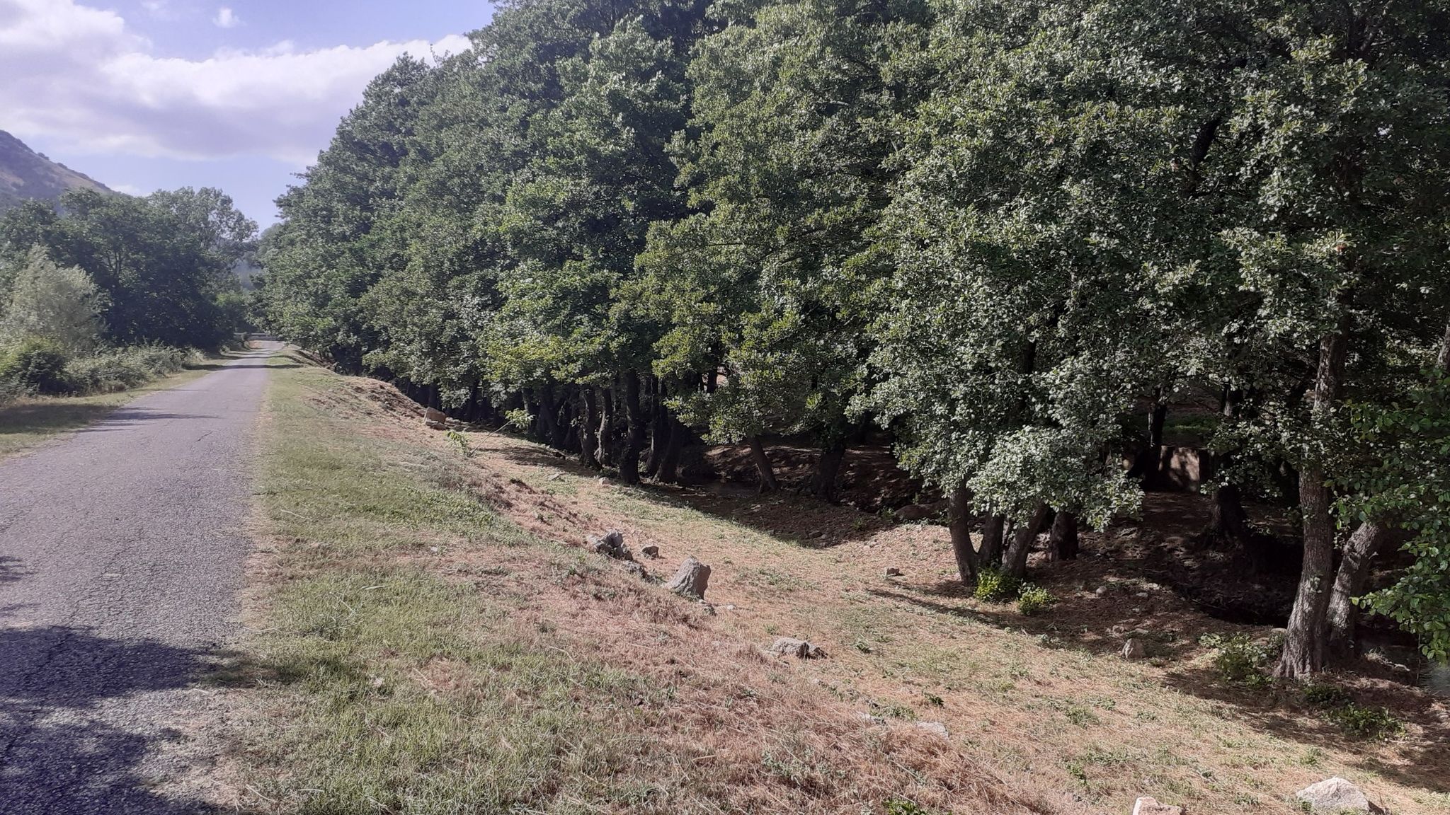 lungo fiume