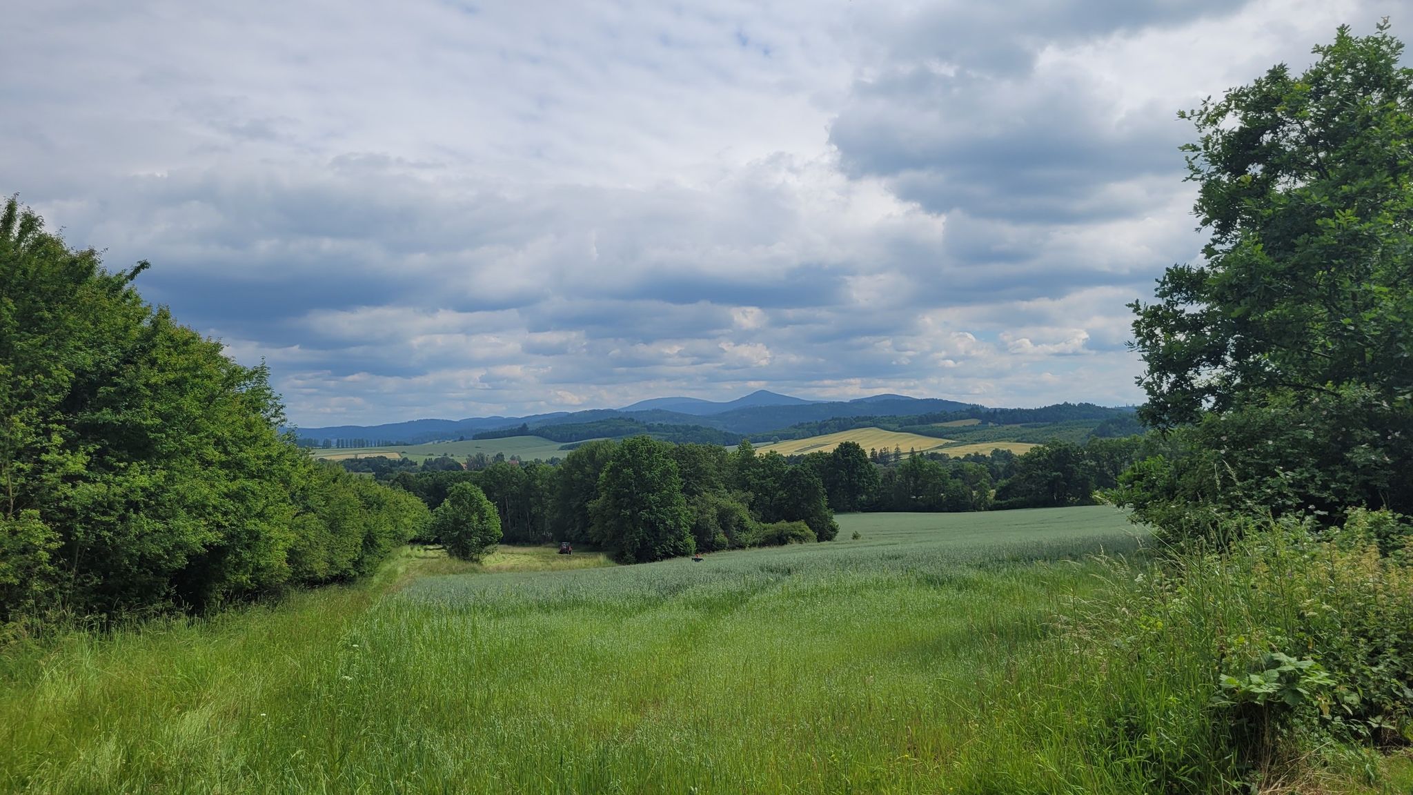Jaszkowa Górna - Rogówek, widok na Śnieżnik i Czarną Górę