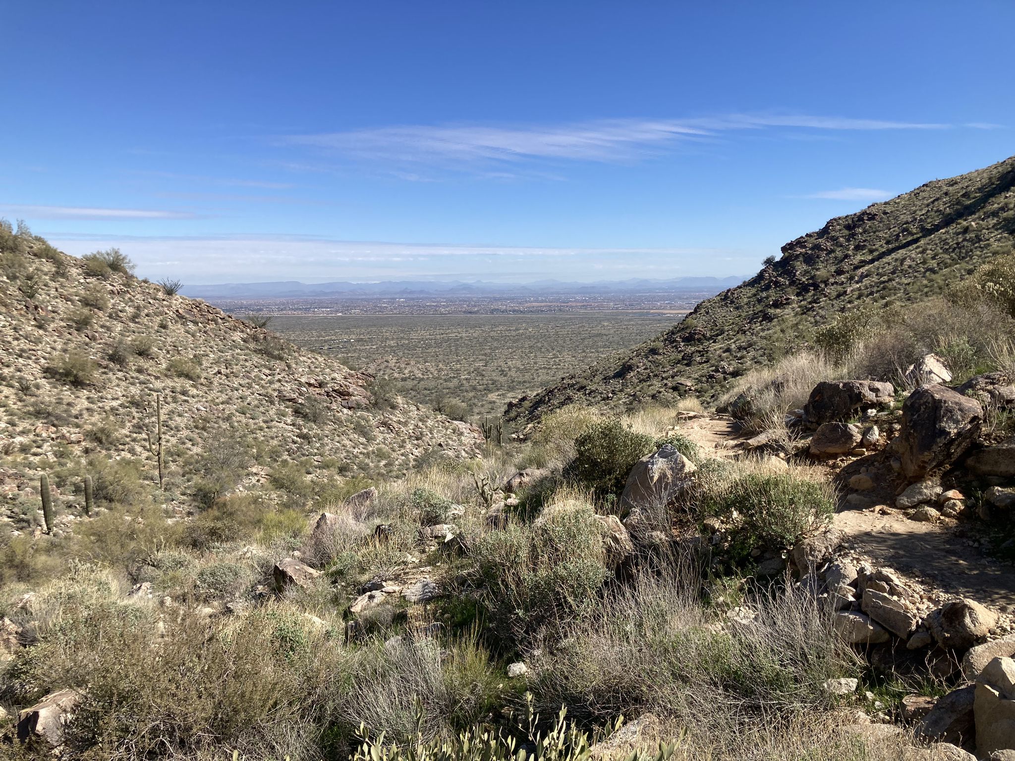Desert valley with sparse vegetation and distant mountains under a blue sky. - Mesquite Canyon Trail