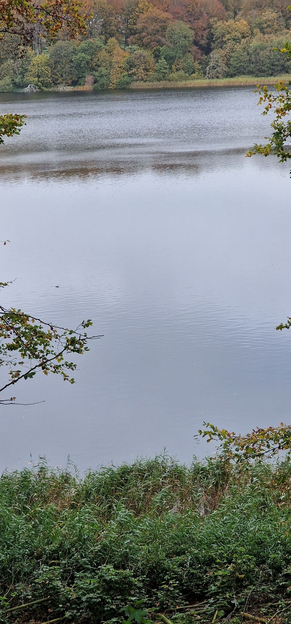 Nørresø II