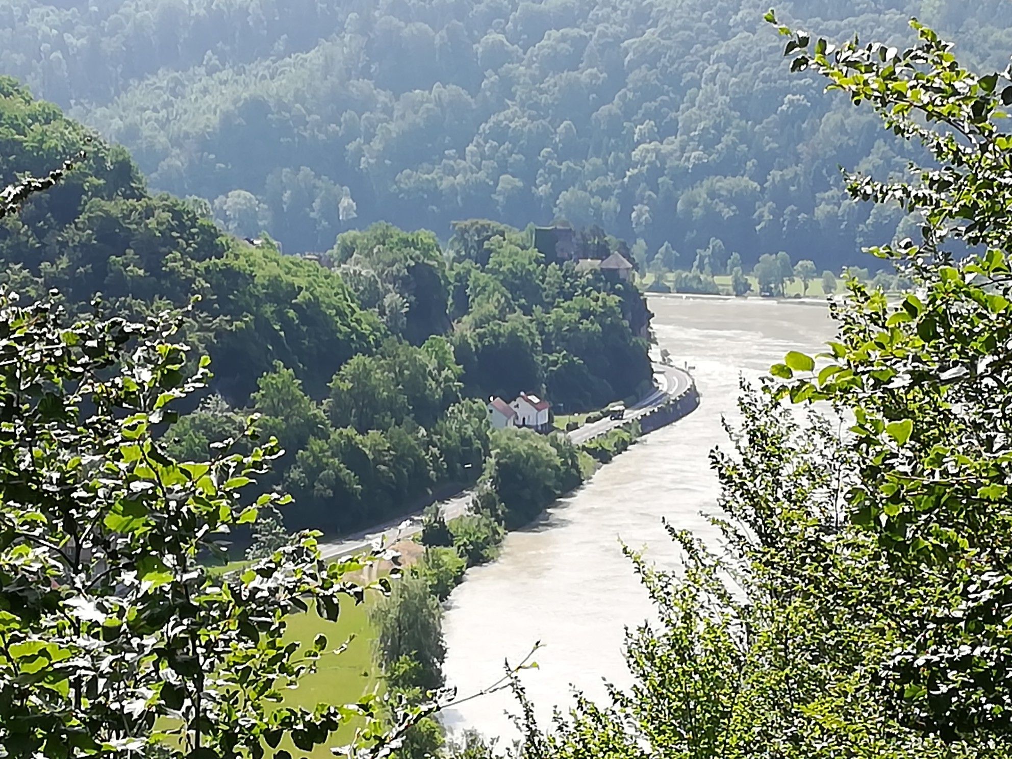 Blick auf Burg Werfenstein