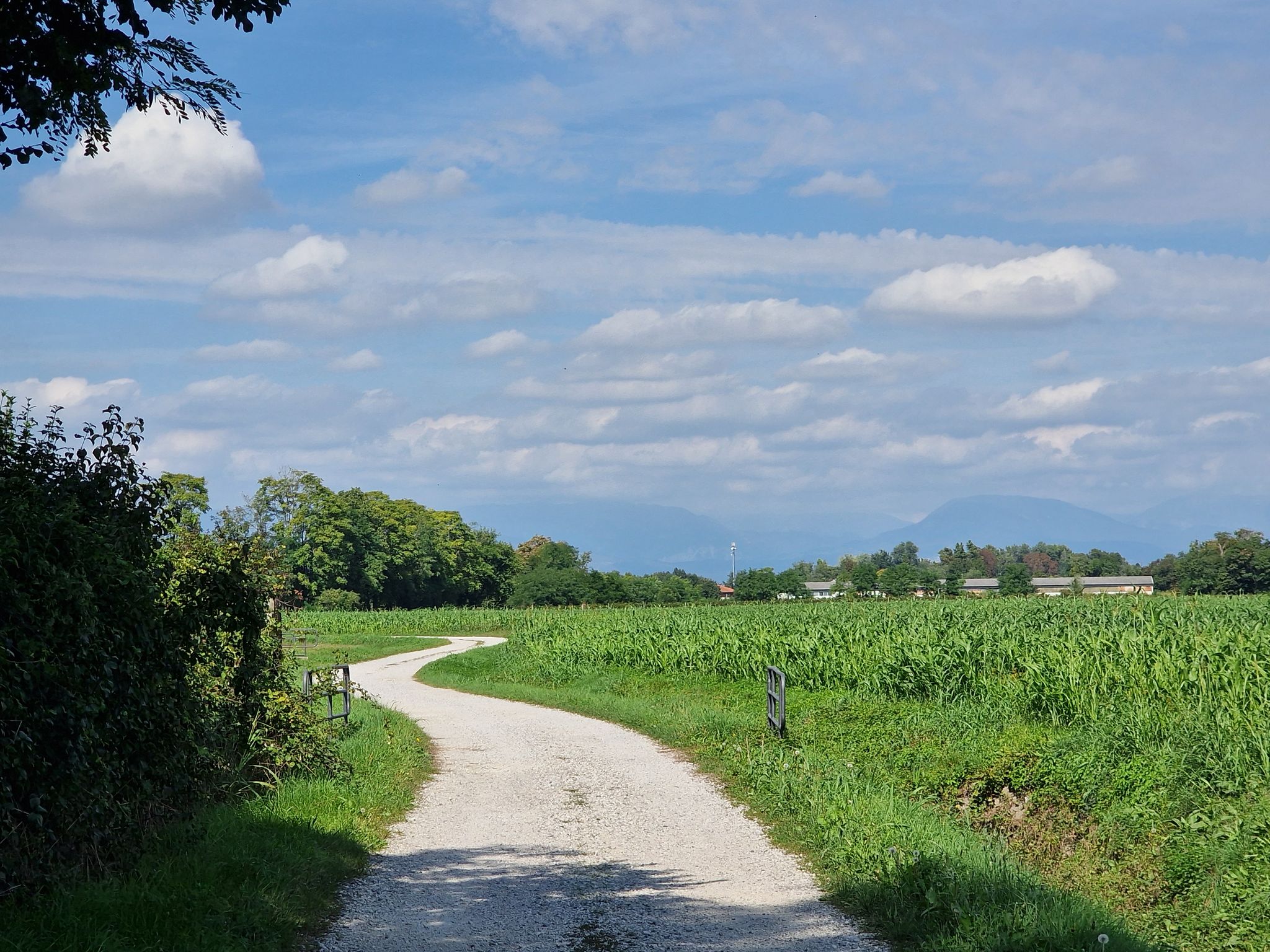Wegstrecke von San Martino nach Valvasone