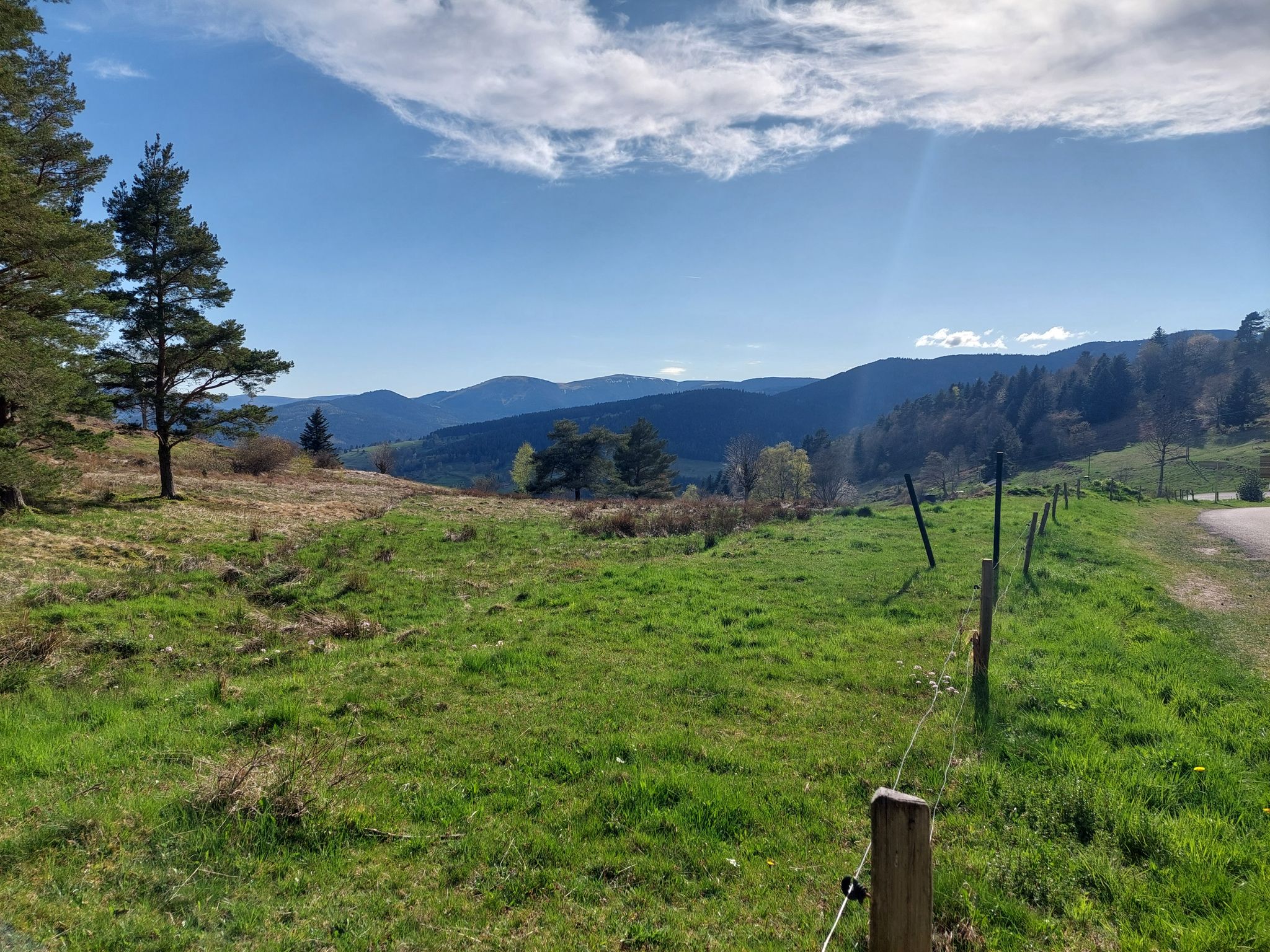 kurz hienterm Col du Wettstein an der Kreuzung zum Aufstieg Le Linge / Abfahrt Munster, Soultzeren