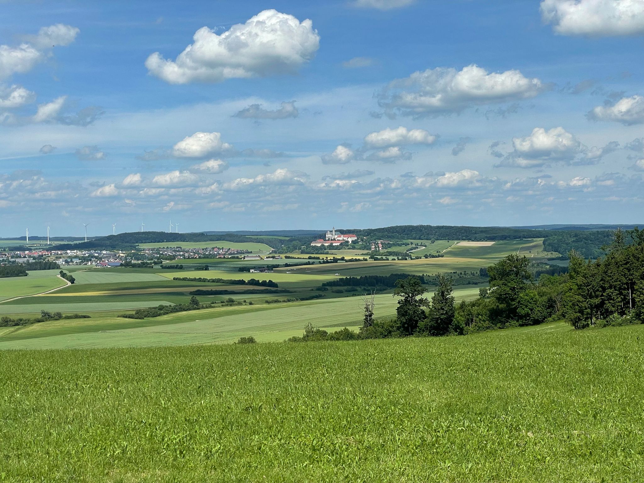 Blick zum Kloster Neresheim