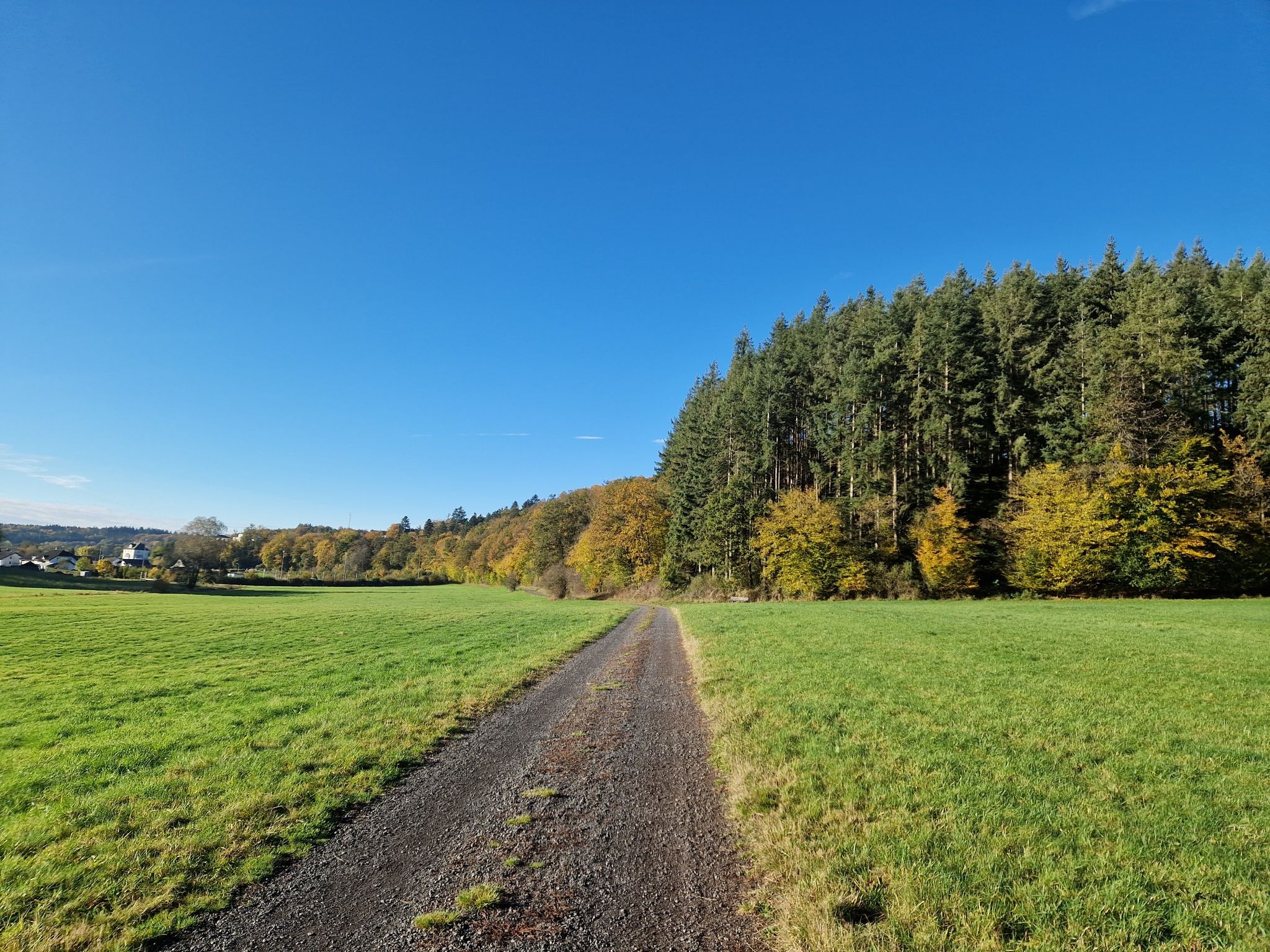 Der Herbst ist da!  (bei Gillenfeld)